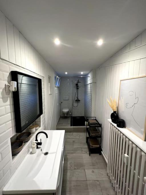 Superbe Duplex En Hyper Centre Appartamento Saint-Etienne  Esterno foto